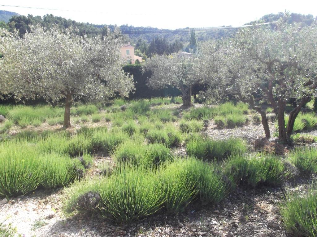 La Serenade Buis-les-Baronnies Luaran gambar